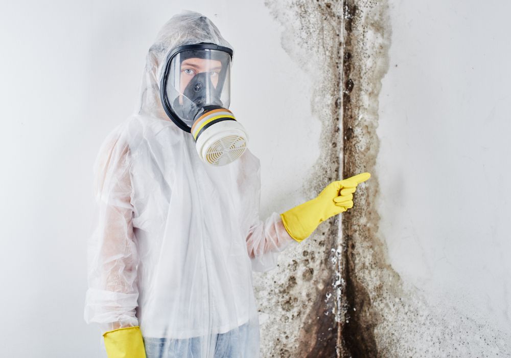 professional mold disinfector overalls mask points finger black mold wall removal
