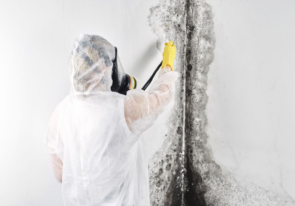 professional disinfector overalls processes walls from mold removal black fungus apartment house