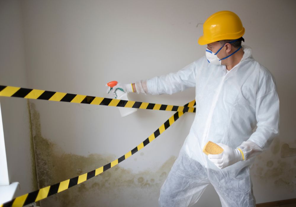 rear view man working mold remediation on site