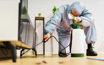 The Importance of Eliminating Odors at Their Source for Long-Lasting Freshness