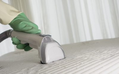 How Do You Know When Odor Removal Is the Right Solution for Your Home