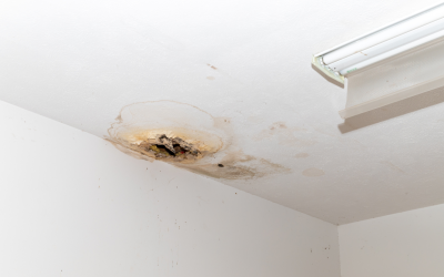 Why Professional Commercial Restoration Matters for Long Term Property Value