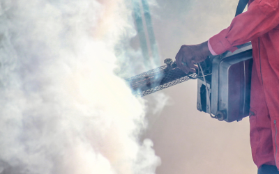 How Professionals Effectively Remove Smoke Odor for Good